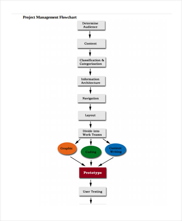 flow chart for project management