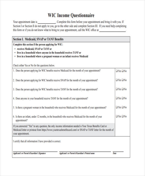 Income Questionnaire - 9+ Examples, Format, Pdf, Tips