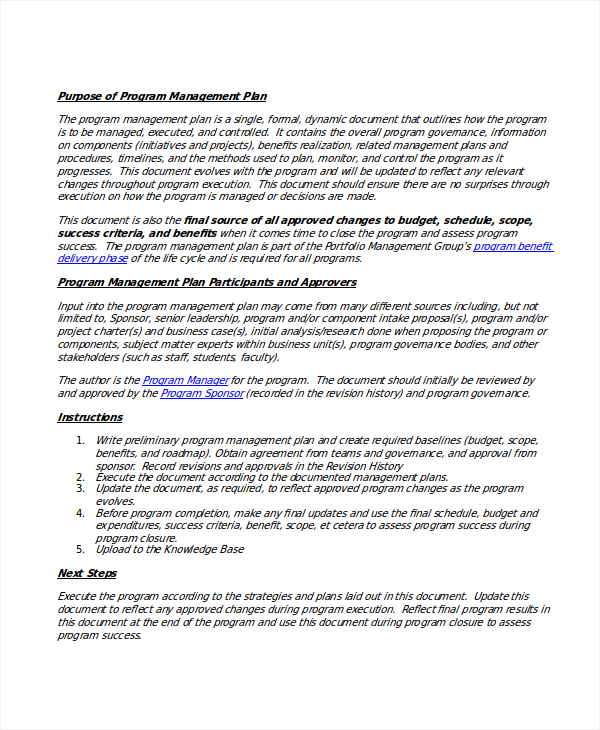 Program Management - Examples, Format, Pdf