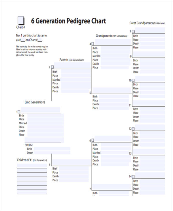 generation pedigree chart example