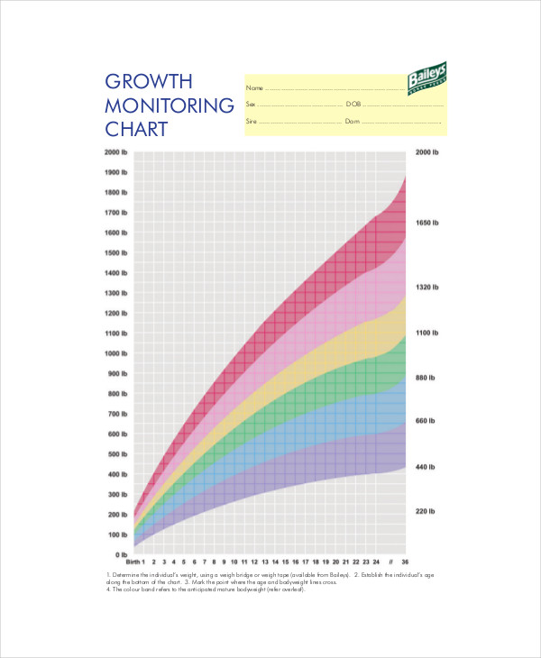 Growth Chart Examples 5 Samples In PDF Examples