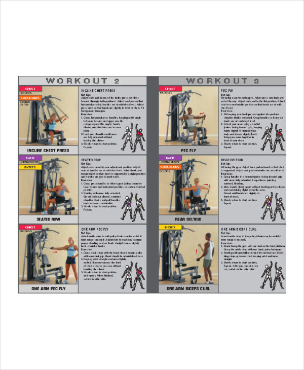 gym exercise chart