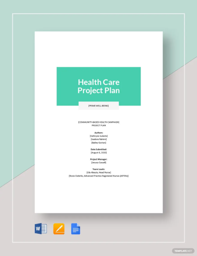 health care project plan template