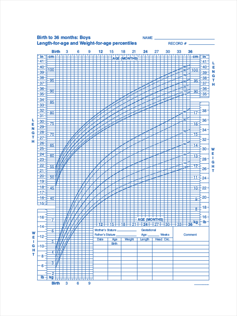 Height and Weight Chart for Boys