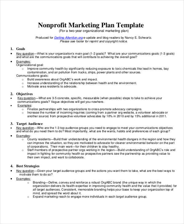 Nonprofit Plan 8  Examples Format Pdf