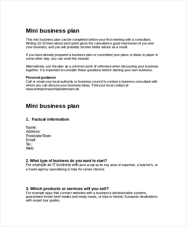 how to make a mini business plan