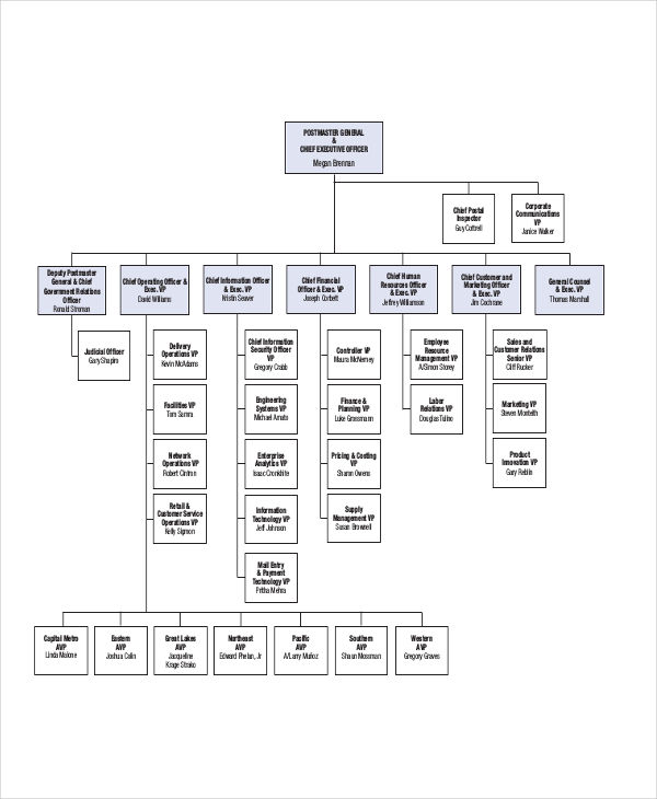 official organizational chart