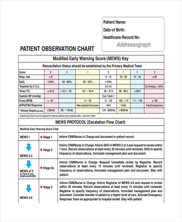 patient observation chart example