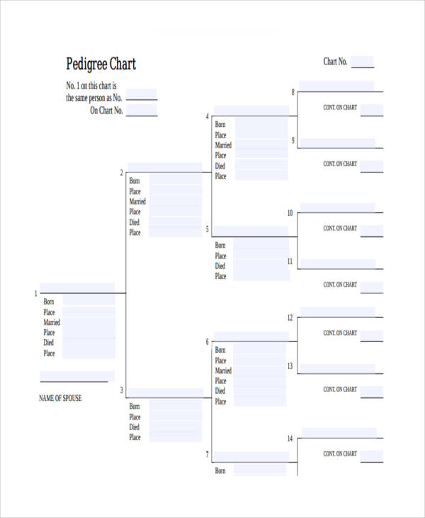 Chart - 25+ Examples, Format, Pdf | Examples