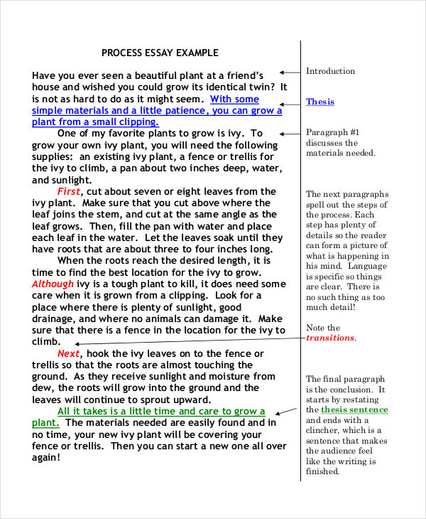 Process Analysis Essay Examples with Step-by-Step Instructions sample of process essay
