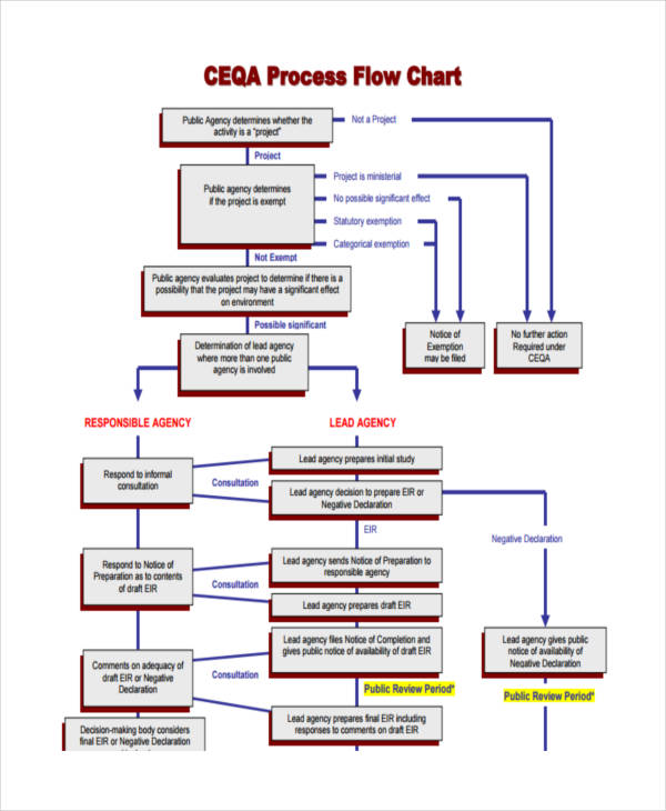 process flow chart example