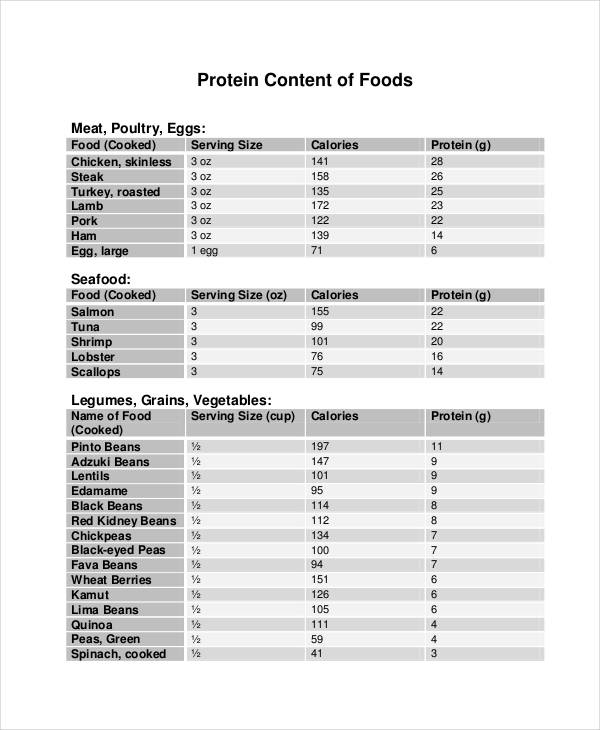 protein food