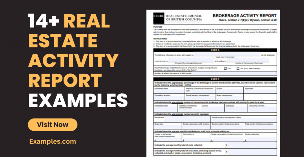 Real Estate Activity Report Examples