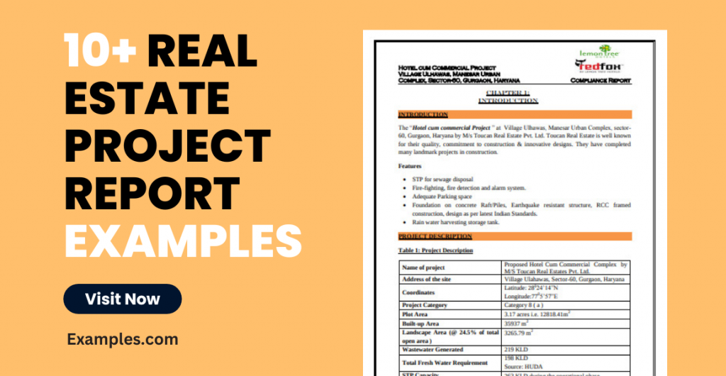 Real Estate Project Report Examples