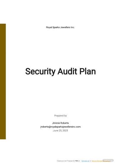 security audit plan template