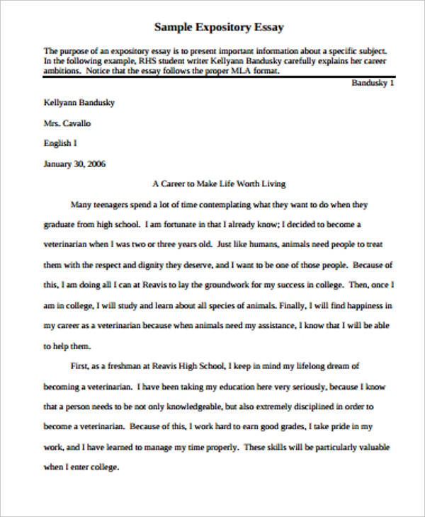 generator critically Essay introduction examples for university {}