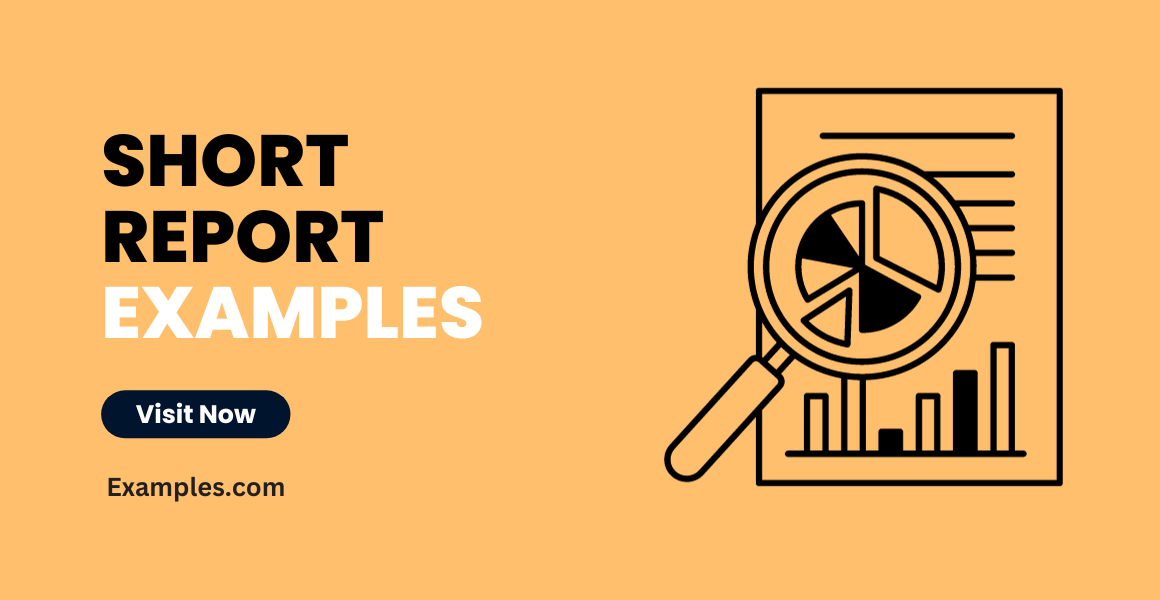 short report examples