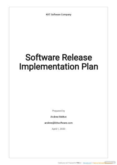 Implementation Plan - 69+ Examples, Format, Pdf | Examples