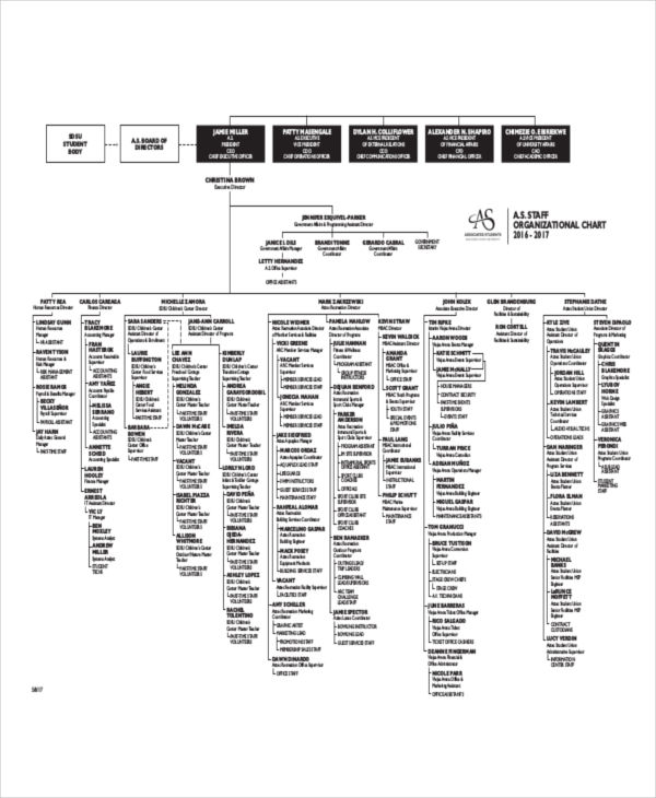 Organizational Chart - 17+ Examples, Format, Pdf | Examples