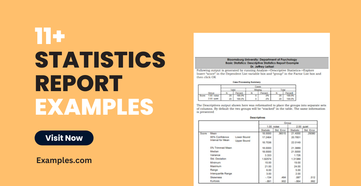 Statistics Report Examples