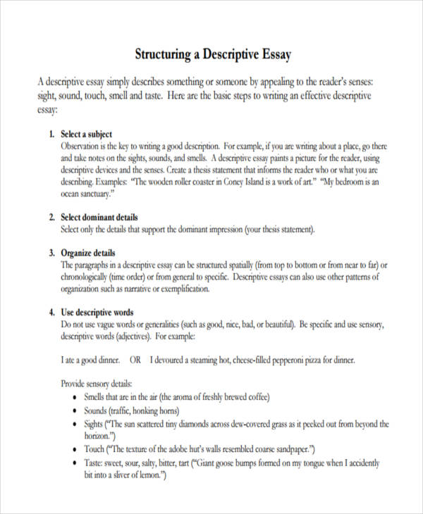 descriptive writing about the essay