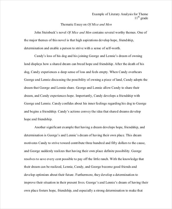 theme in literature essay