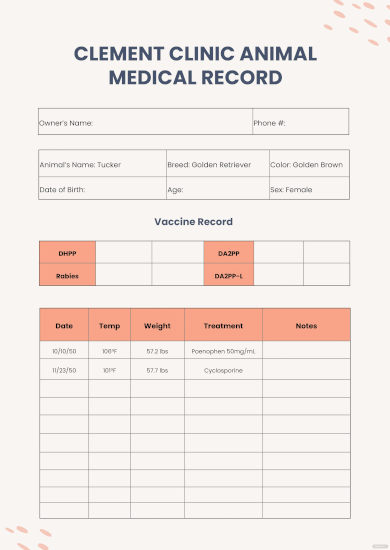 veterinary medical chart template