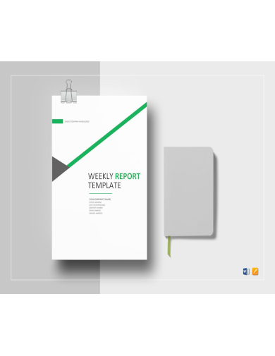 Weekly Status Report