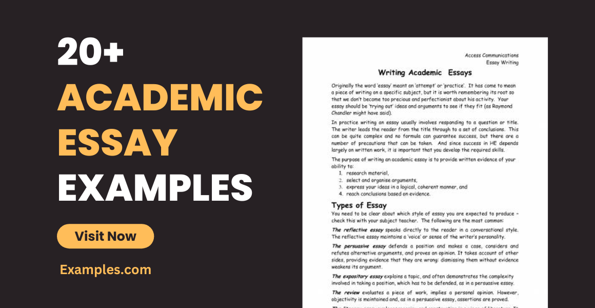 academic essay examples