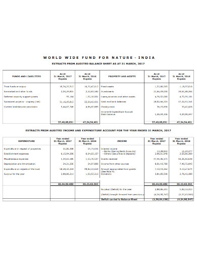 audited balance sheet