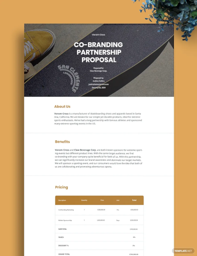 Brand Partnership Proposal Template