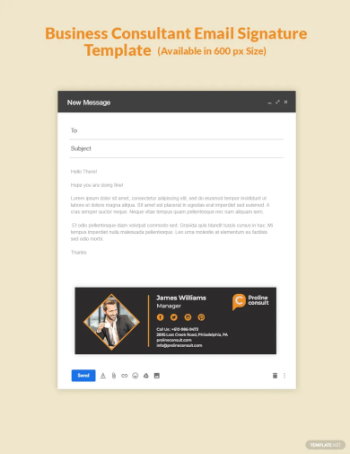 business consultant email signature template