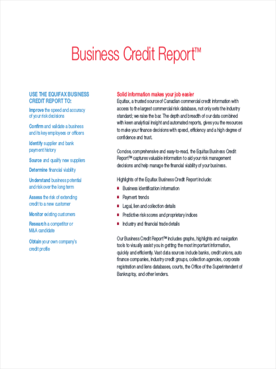 Business Credit Report Sample