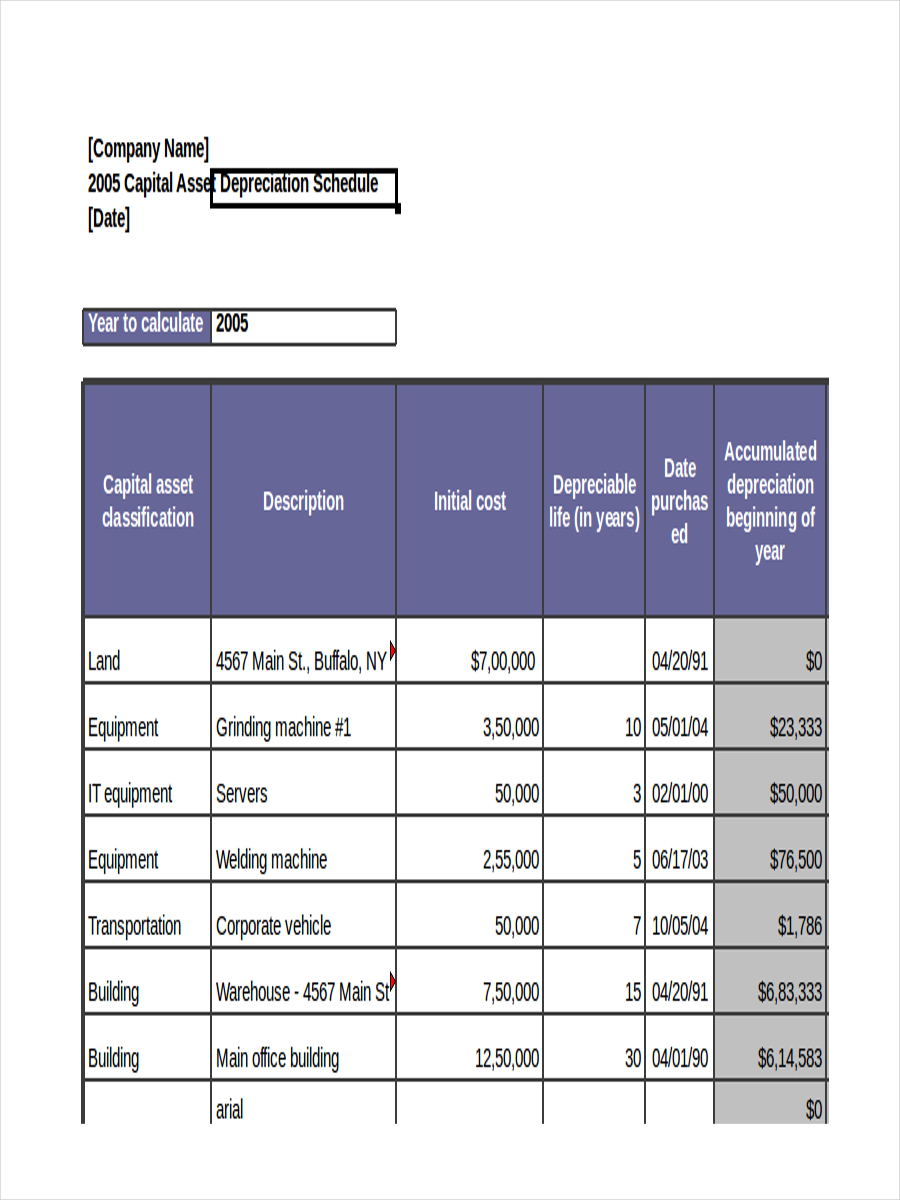 Capital Asset Depreciation Schedule