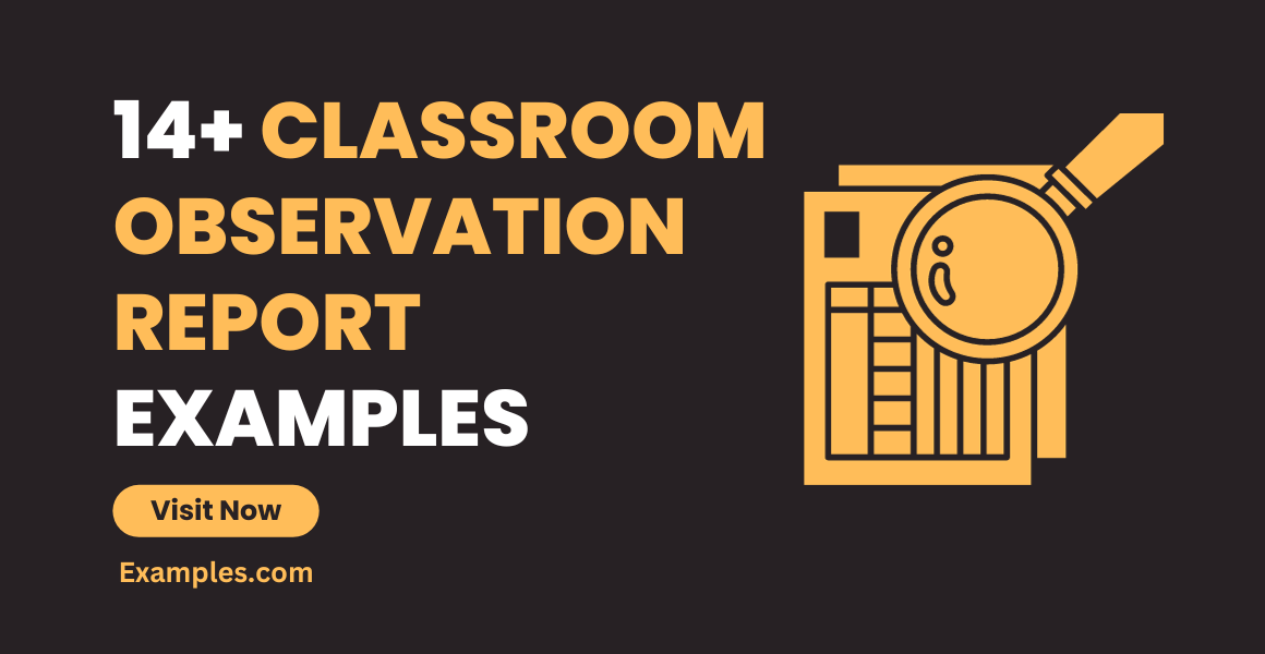 Classroom Observation Report Examples