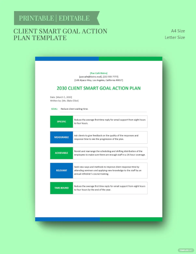 client smart goals action plan sample template