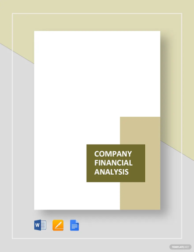 Company Financial Analysis Template