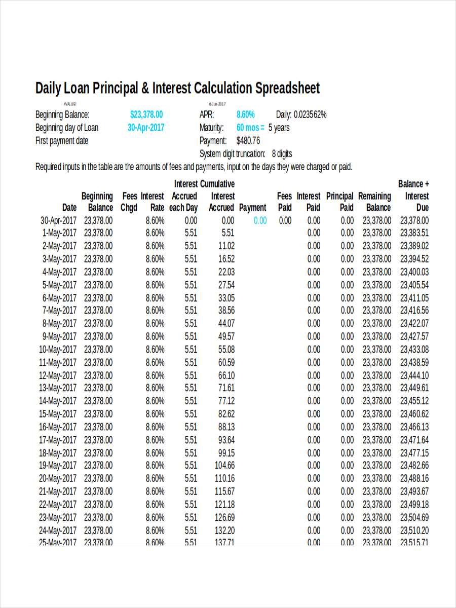 Daily Amortization Schedule