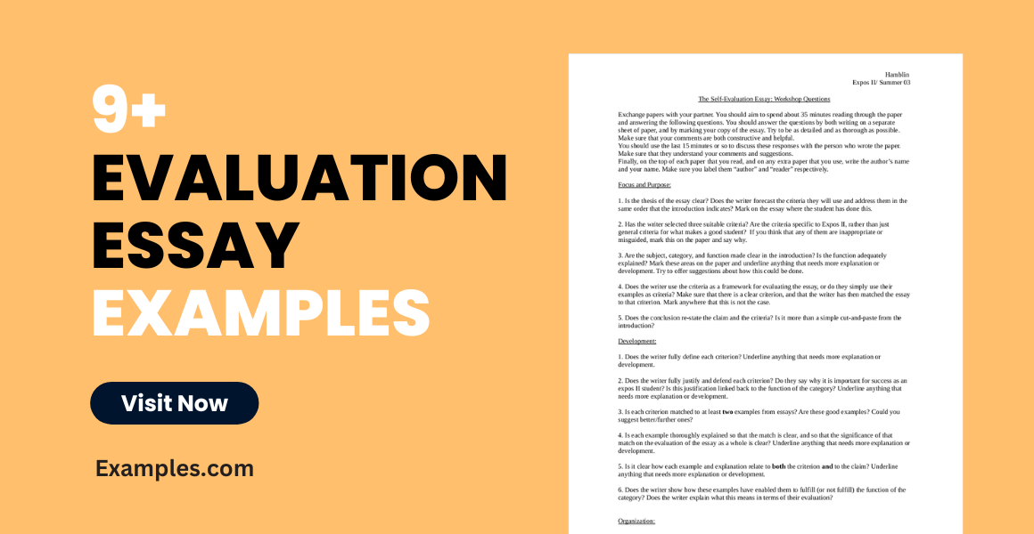 Evaluation Essay Examples