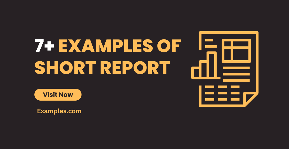 Examples of Short Report