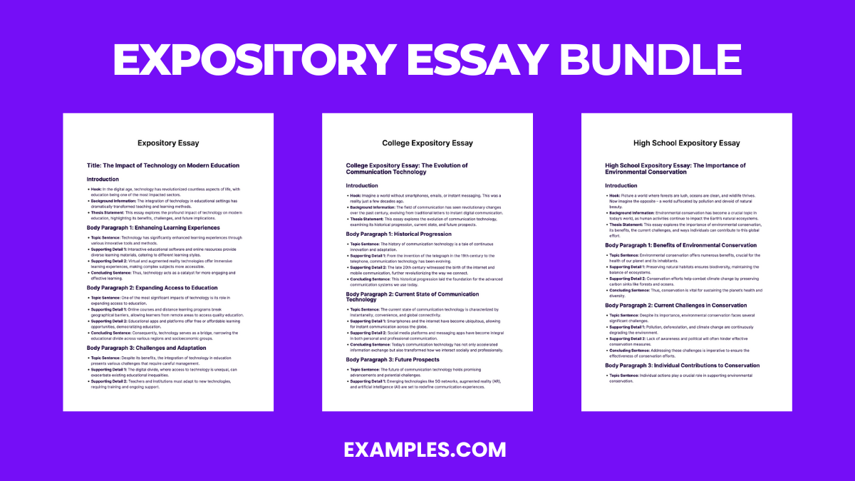 expository essay bundle