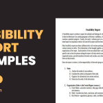 Feasibility Report Examples