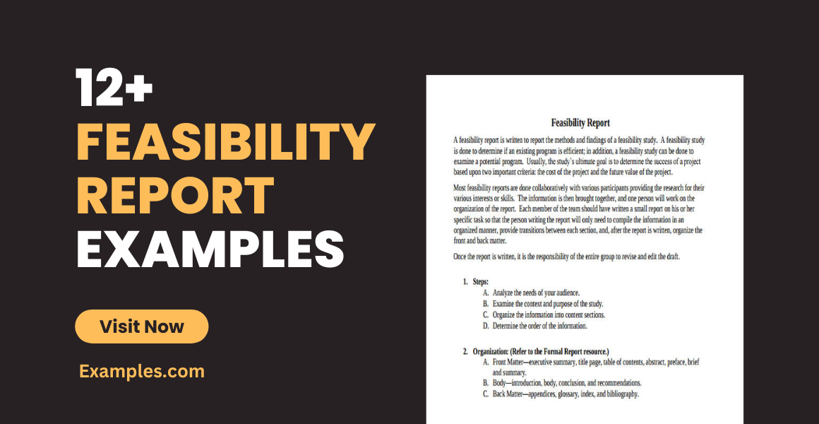 feasibility report examples