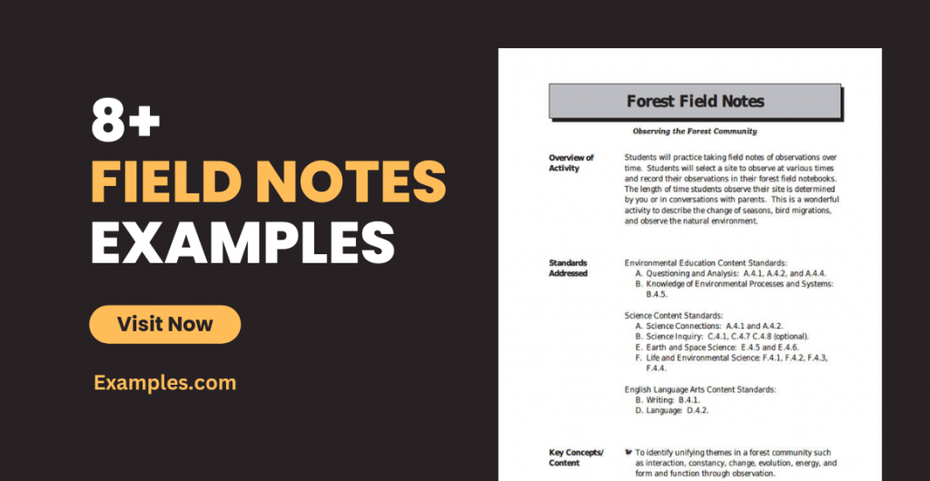 Field Notes Examples