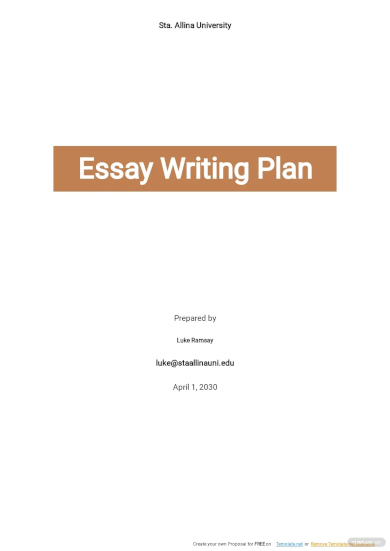 free essay writing plan template