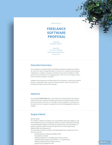 freelance software proposal template