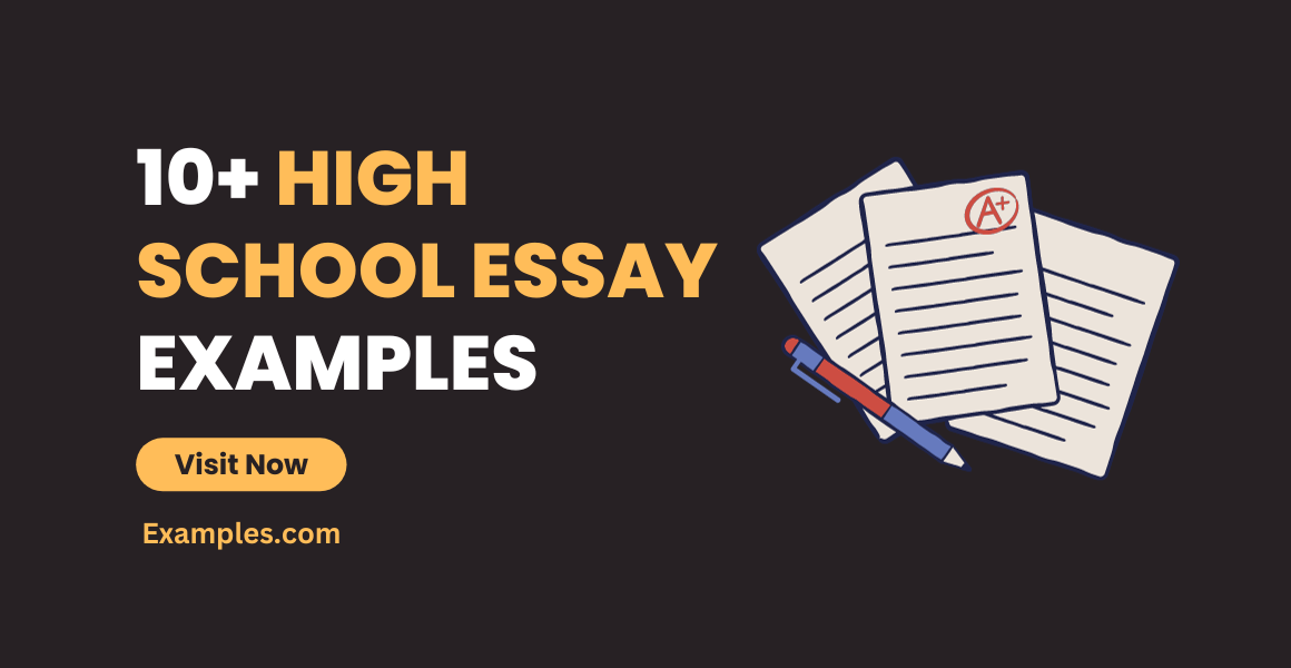 High School Essay Examples