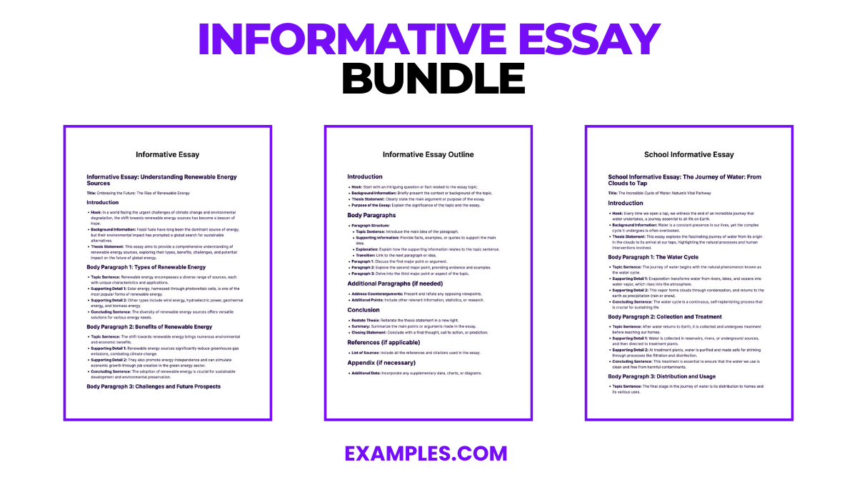 informative essay bundle
