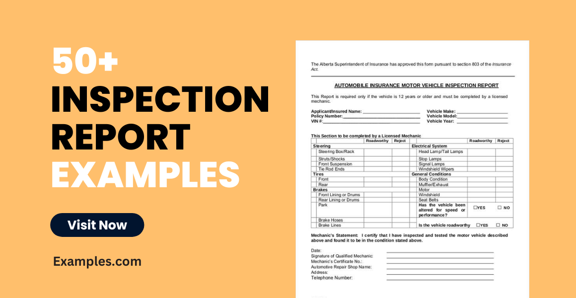inspection report examples