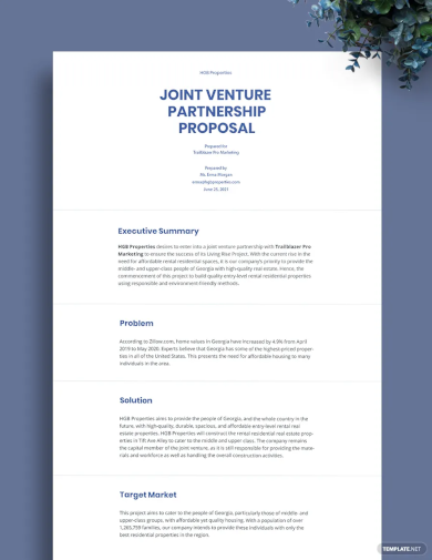 Joint Venture Partnership Proposal Template